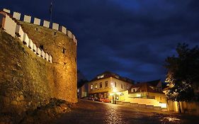 Hotel U Zlateho Byka